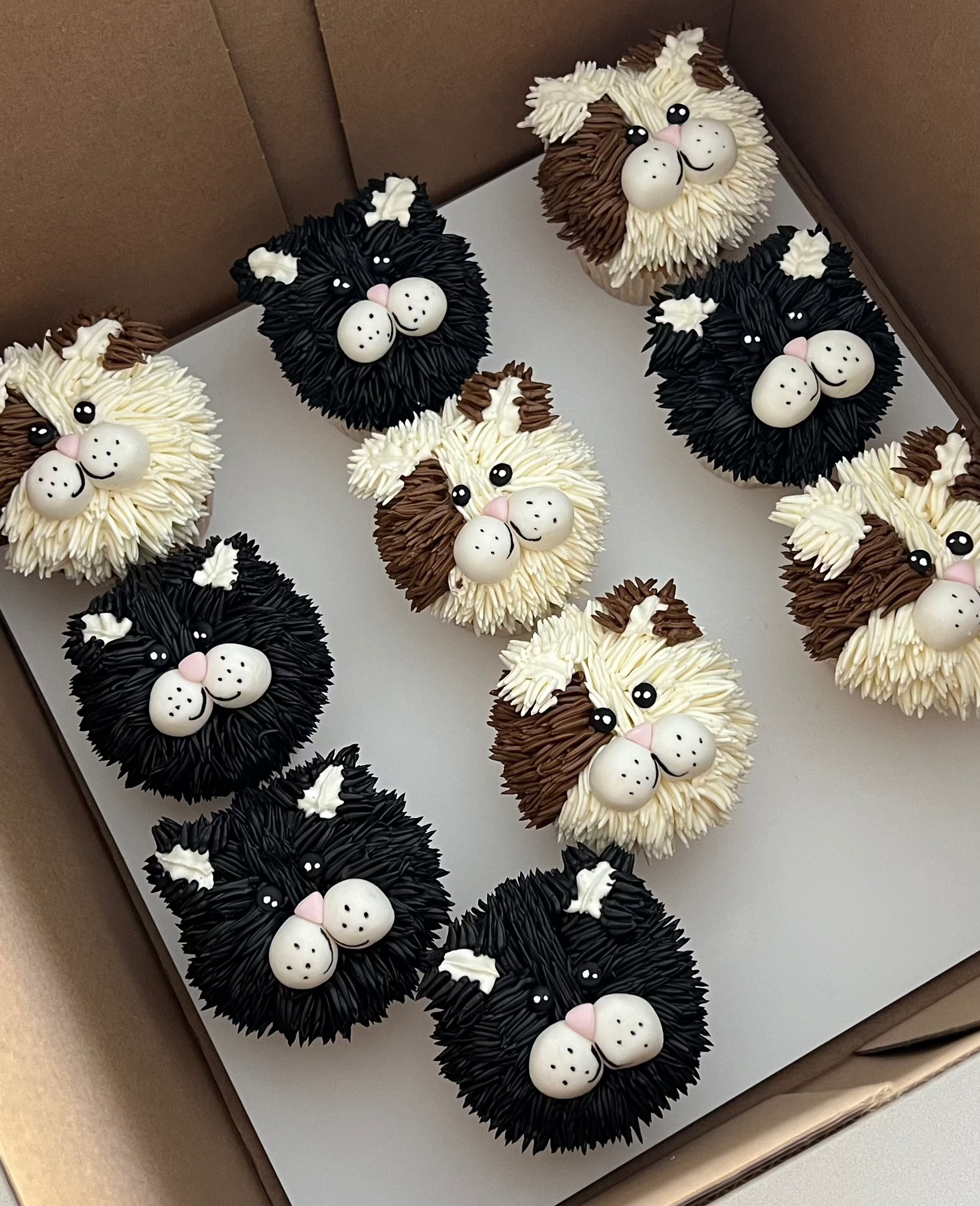 KEDİ CUPCAKE (9 adet)