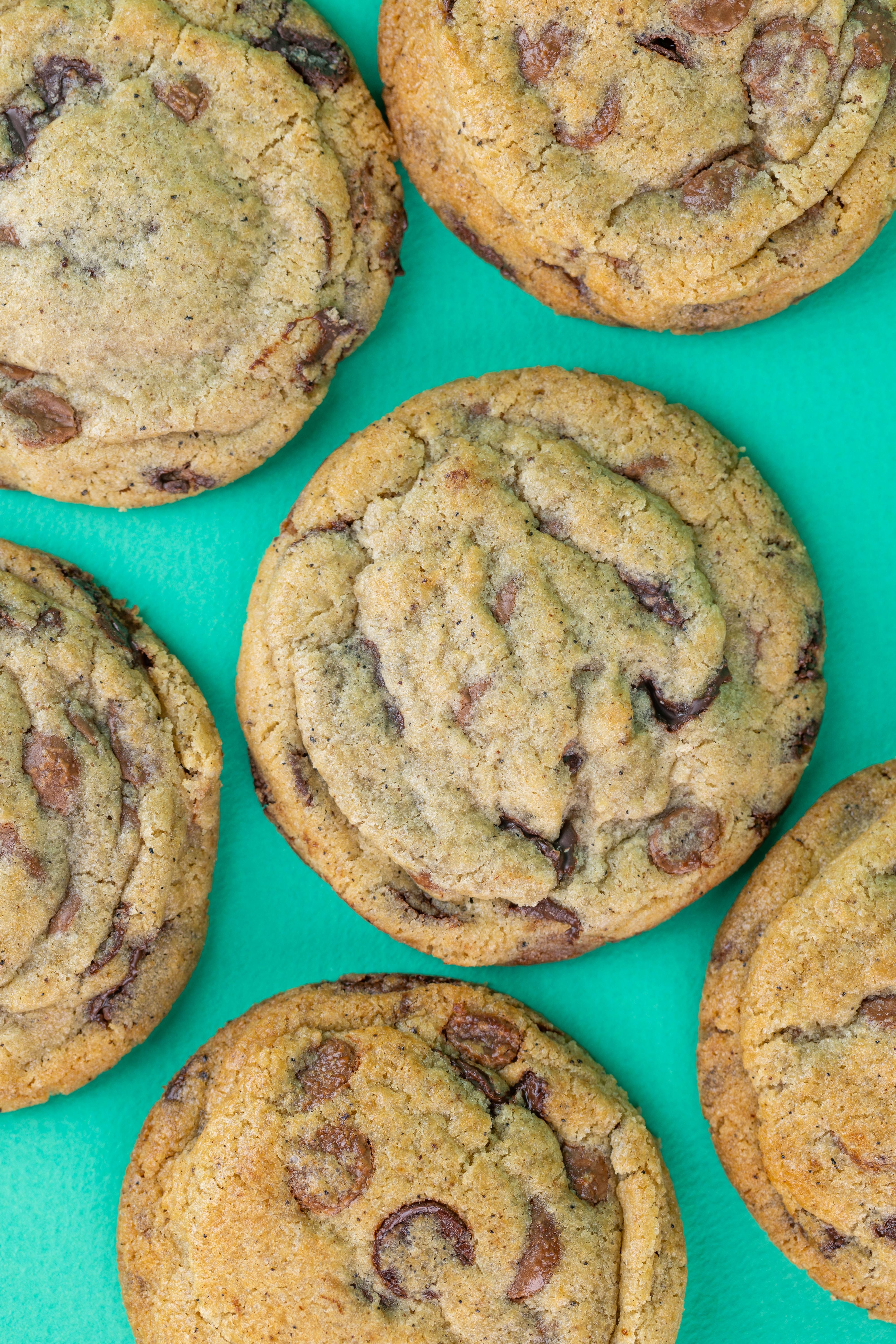 CHOCOLATE CHIP COOKIE