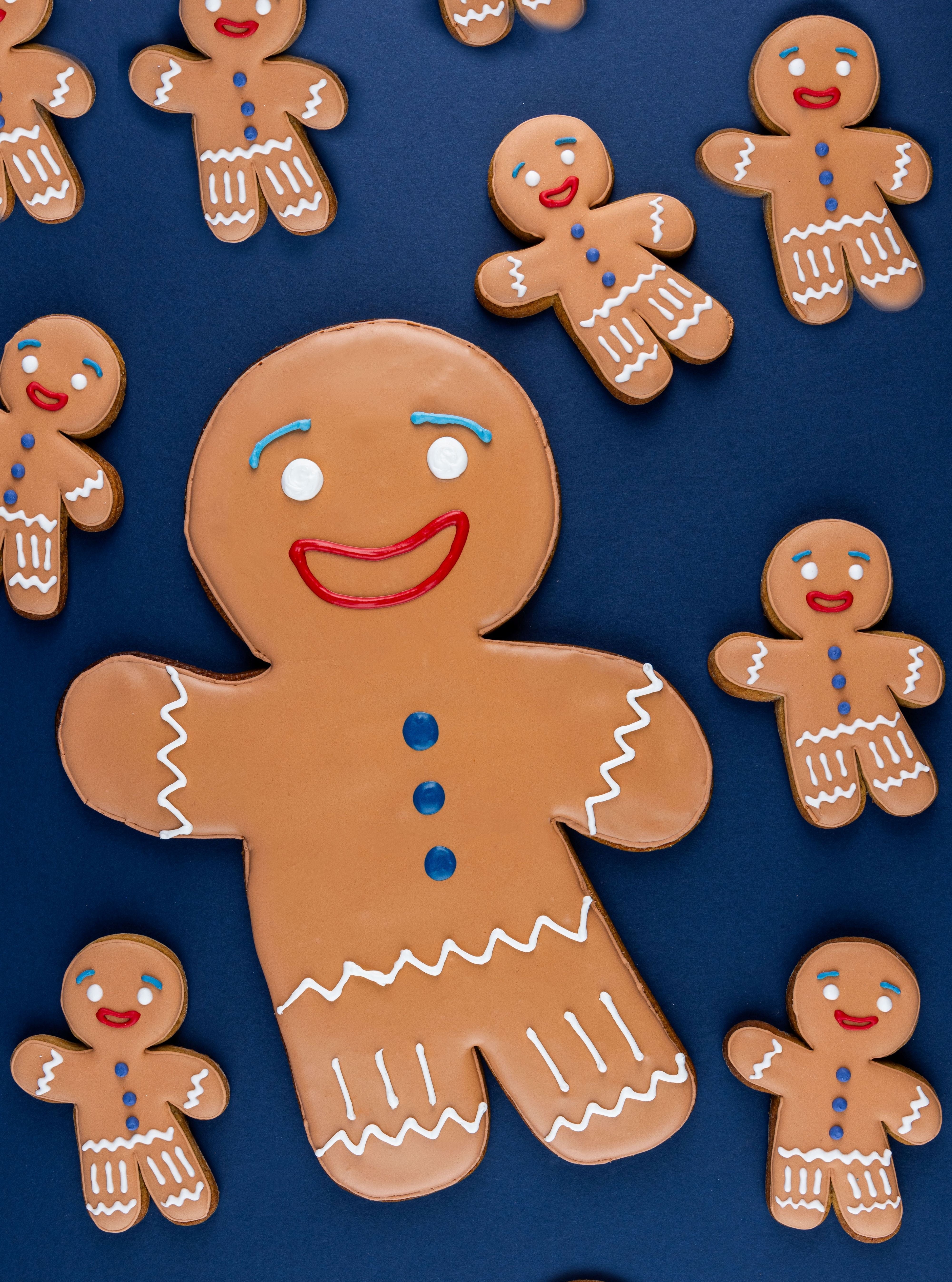 GIANT GINGY